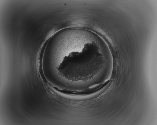 X0000087681459200705111251