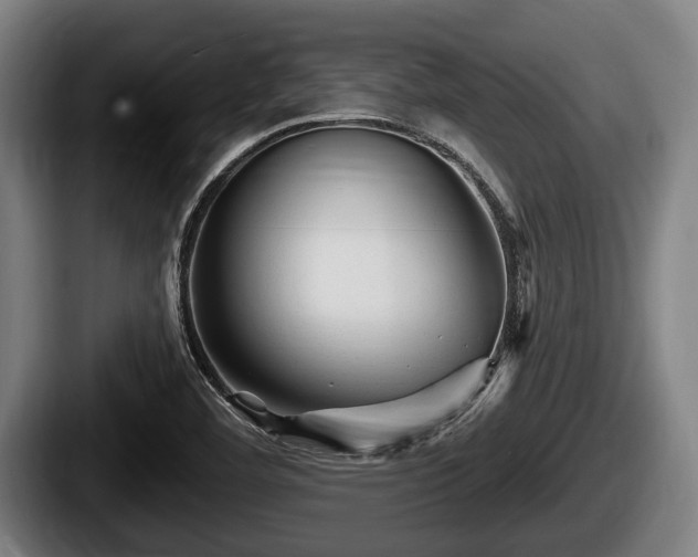 X0000087681460200705111251