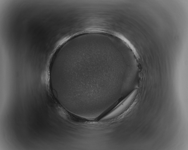 X0000087681461200705111251
