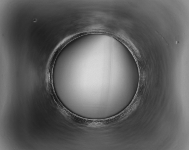 X0000087681462200705111251