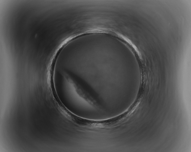 X0000087681463200705111251