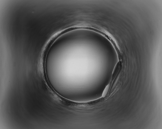 X0000087681464200705111250