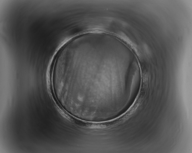 X0000087681466200705111250