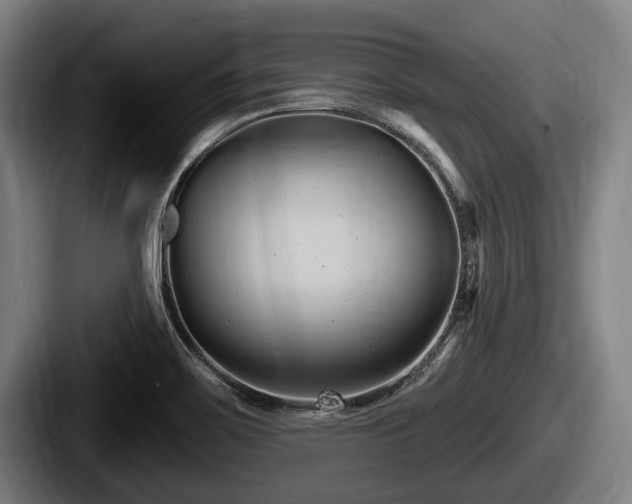X0000087681467200705111250
