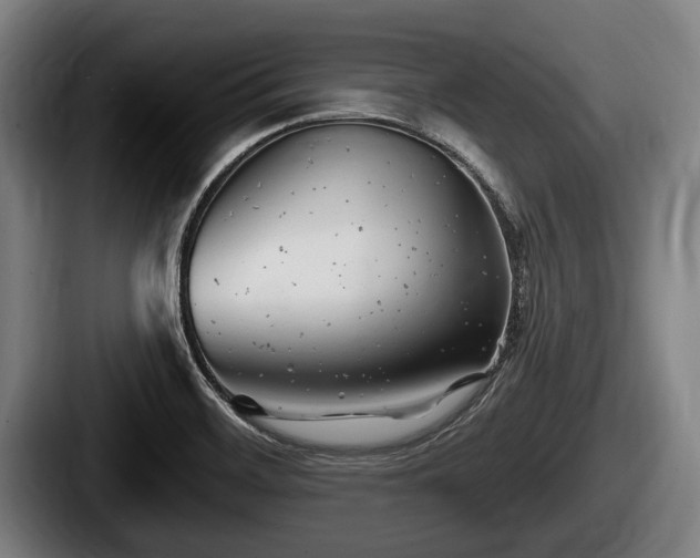X0000087681468200705111250