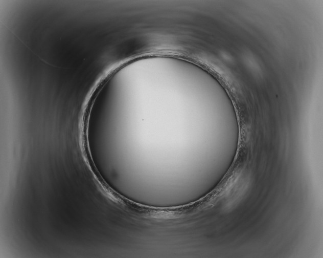 X0000087681470200705111250