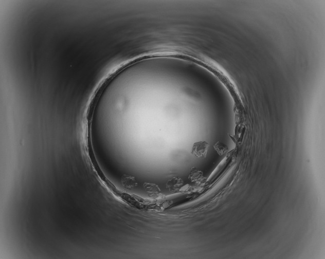 X0000087681472200705111250