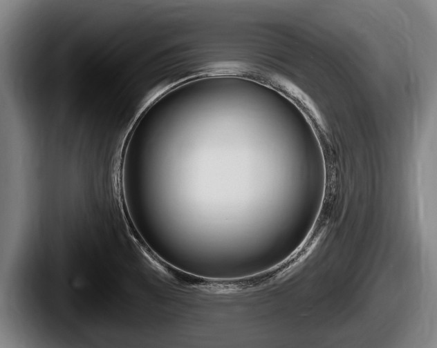 X0000087681473200705111250