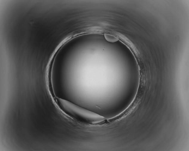 X0000087681475200705111250