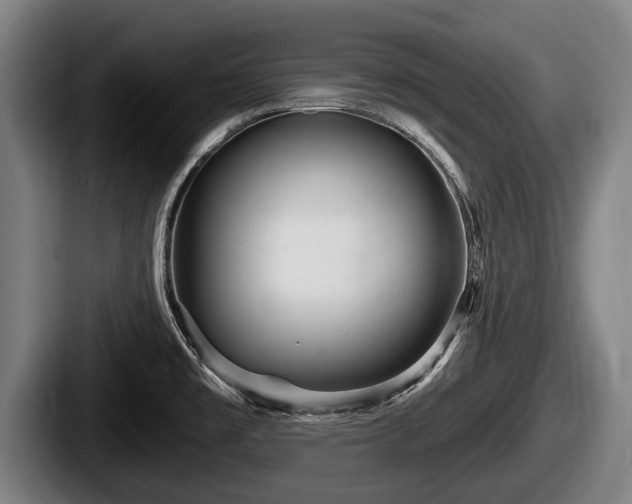 X0000087681477200705111250