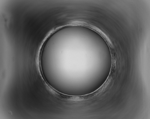 X0000087681478200705111250