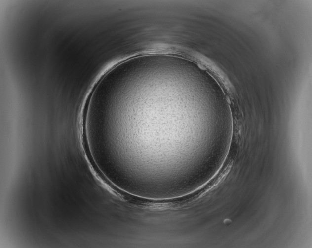 X0000087681479200705111250