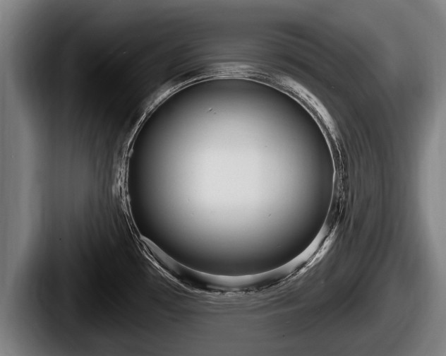 X0000087681481200705111250