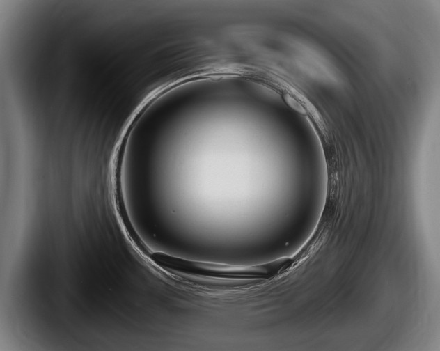 X0000087681483200705111250