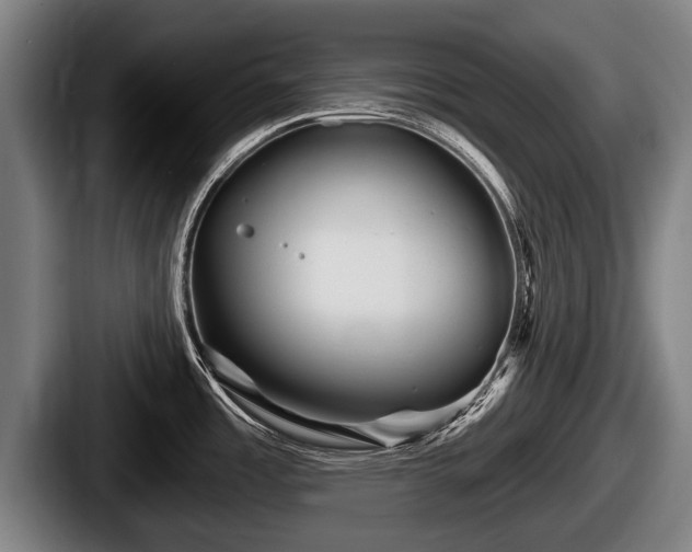X0000087681485200705111250