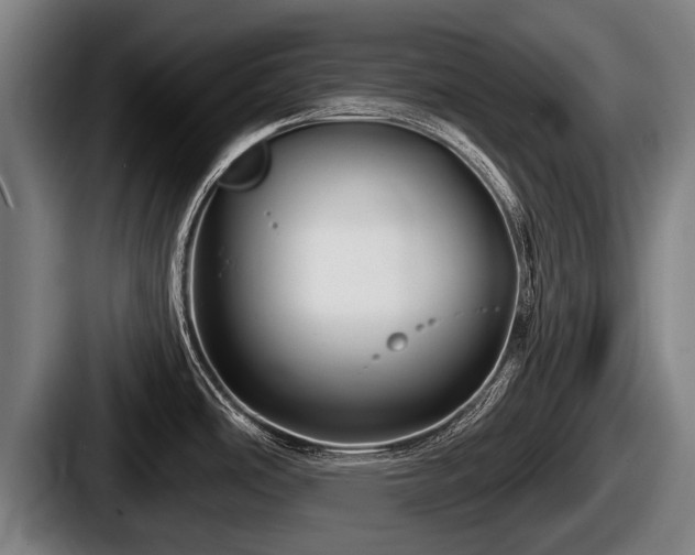 X0000087681486200705111250