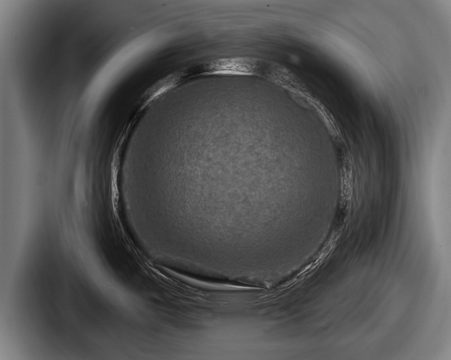 X0000087681487200705111250