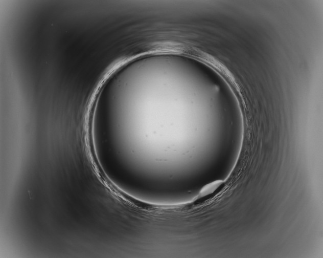 X0000087681488200705111250