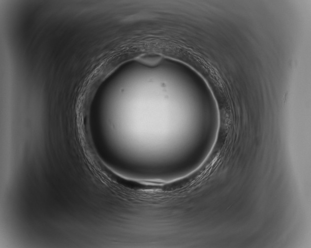 X0000087681489200705111250