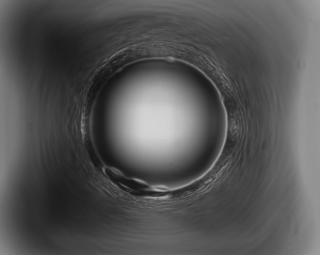 X0000087681490200705111250