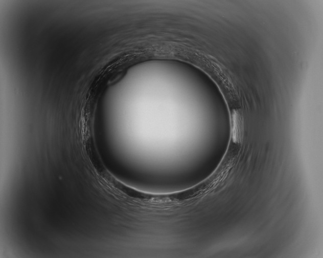 X0000087681491200705111250