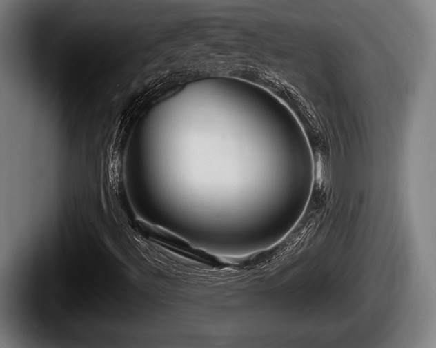 X0000087681492200705111250