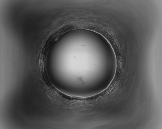 X0000087681493200705111250