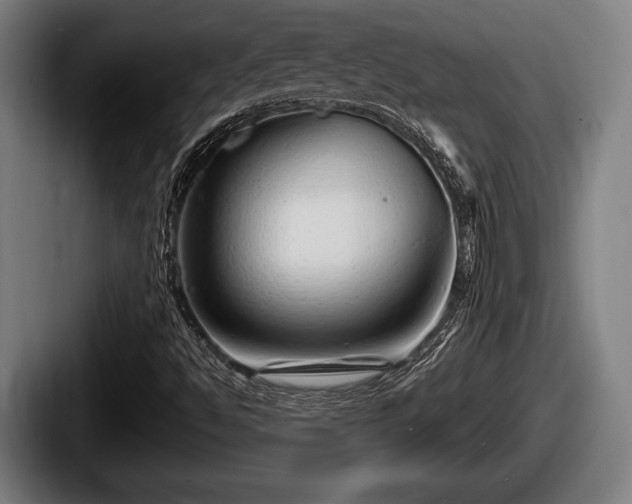 X0000087681494200705111250