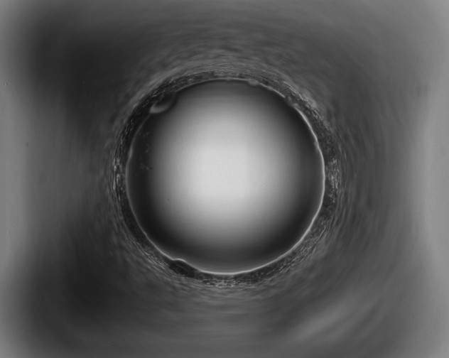 X0000087681495200705111250