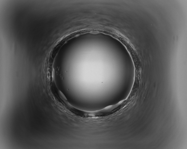 X0000087681496200705111250