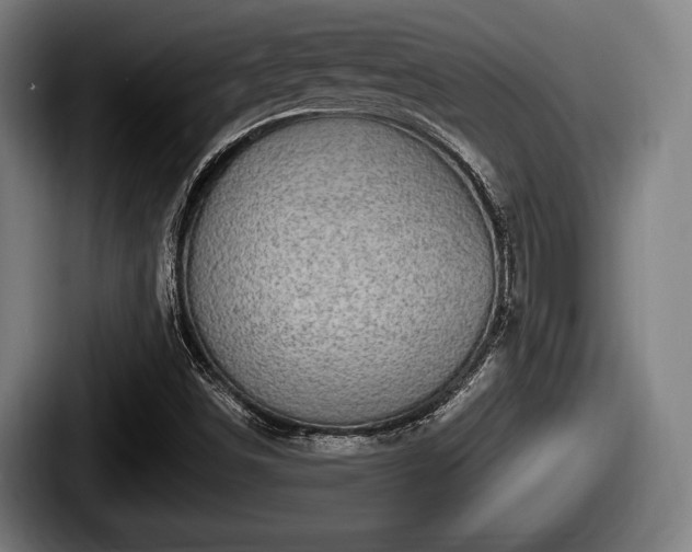 X0000087681498200705111250