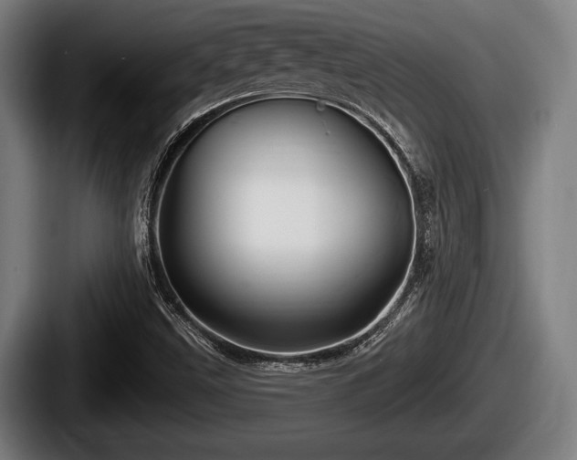 X0000087681499200705111250