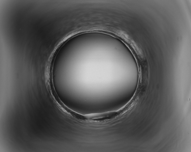 X0000087681500200705111250