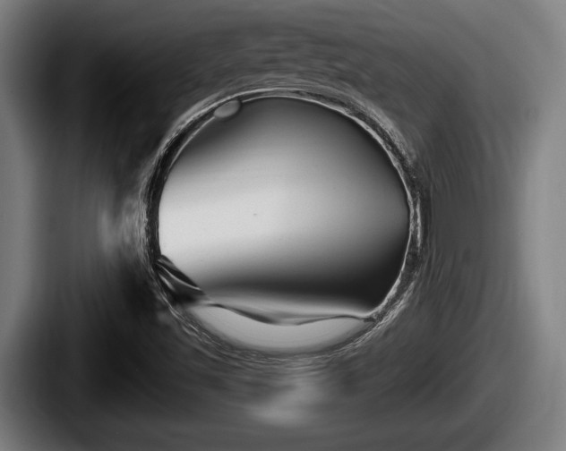 X0000087681501200705111250
