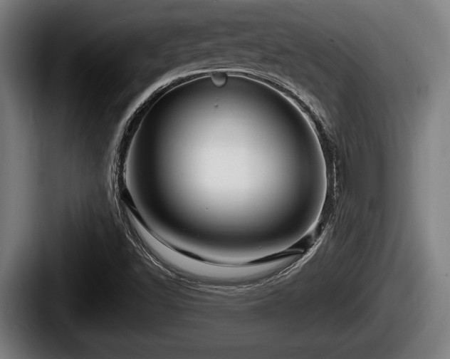 X0000087681502200705111250