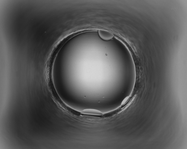 X0000087681503200705111250