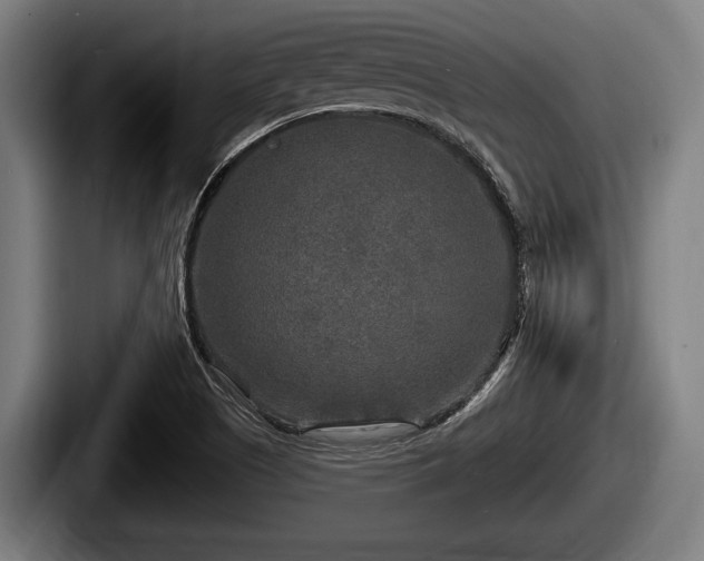X0000087681505200705111250