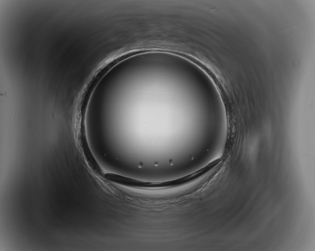 X0000087681507200705111250