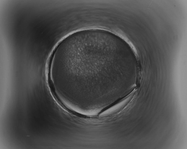 X0000087681508200705111250