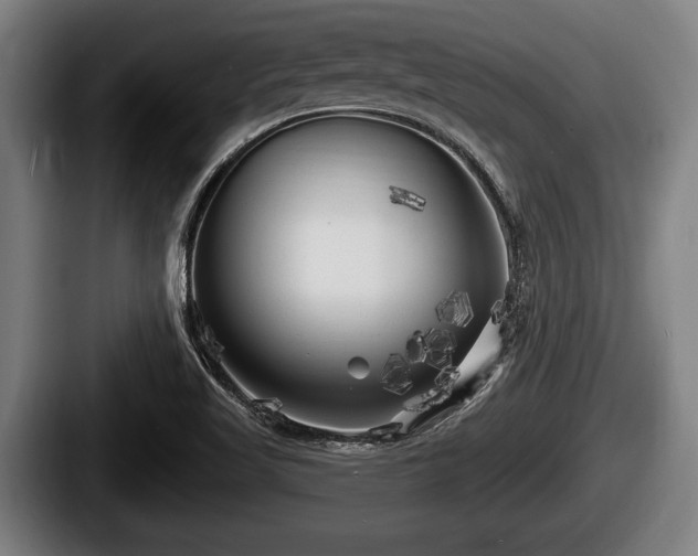 X0000087681509200705111250