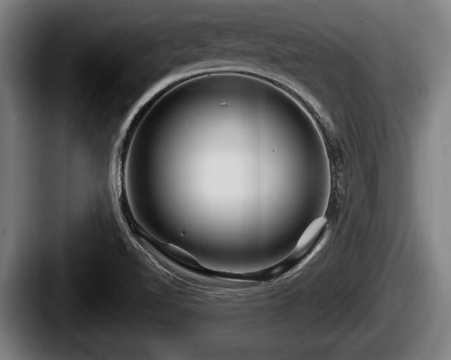X0000087681510200705111250