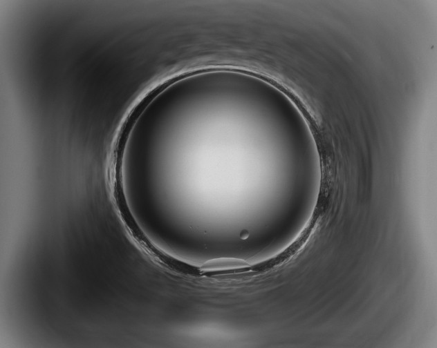 X0000087681511200705111250