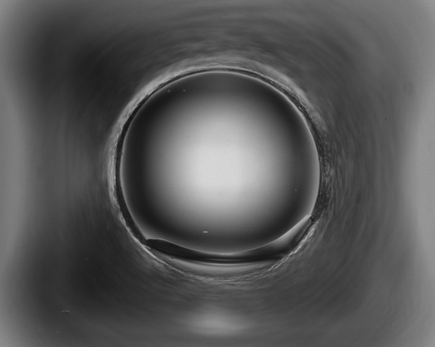 X0000087681512200705111250