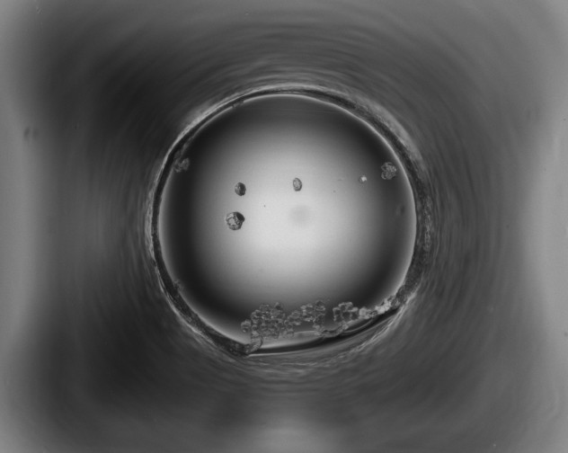 X0000087681513200705111250
