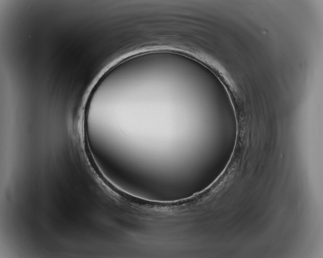 X0000087681516200705111250
