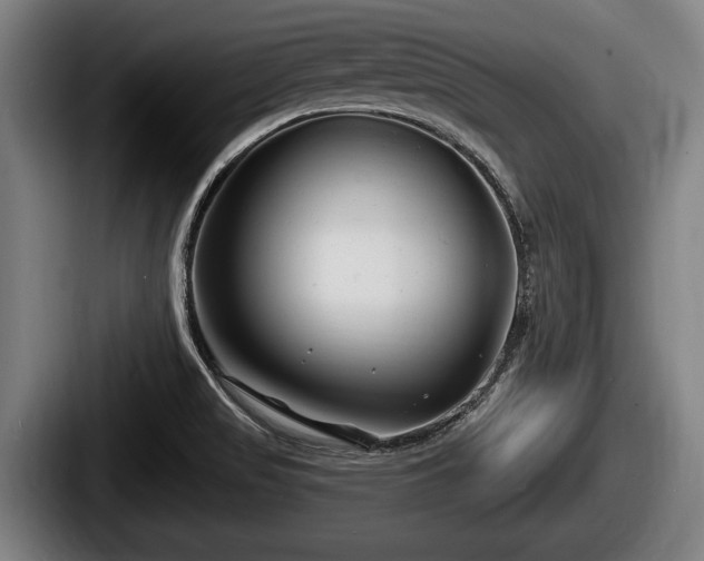 X0000087681517200705111250
