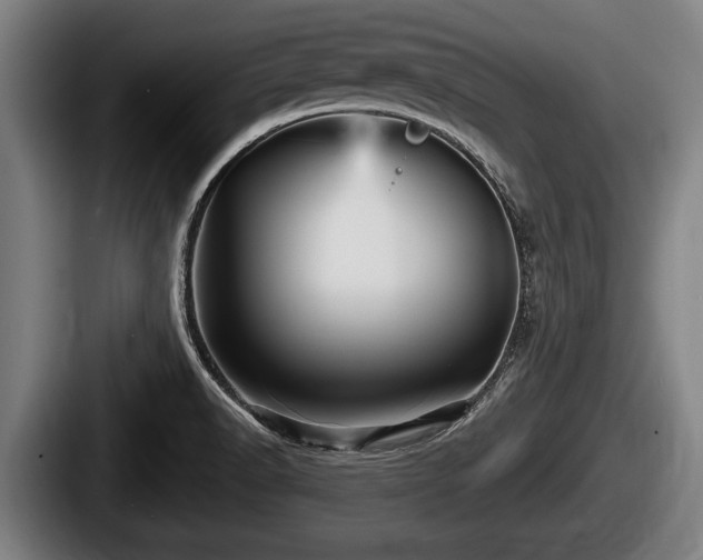 X0000087681518200705111250