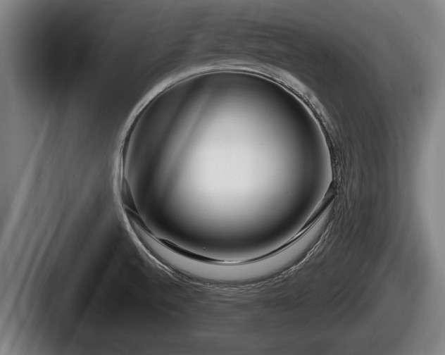 X0000087681520200705111250