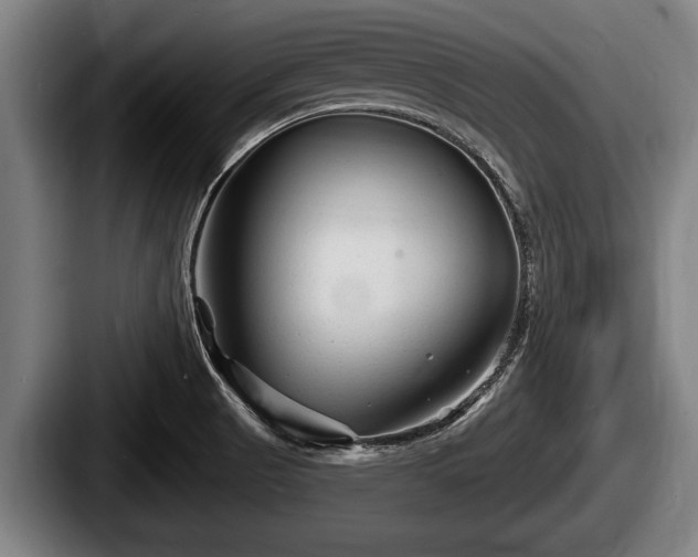 X0000087681521200705111250