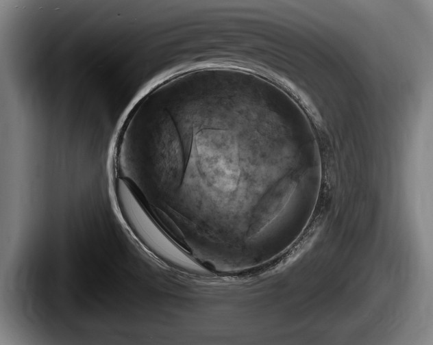 X0000087681522200705111250